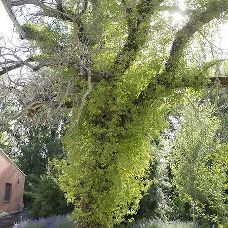 Molinos De Casa rural Fuenteheridos