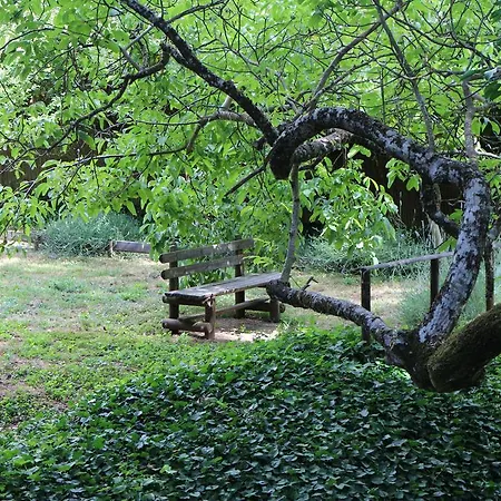 Casa rural Molinos De Fuenteheridos